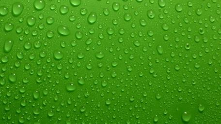 Vibrant Green Drops on Smooth Surface wallpaper
