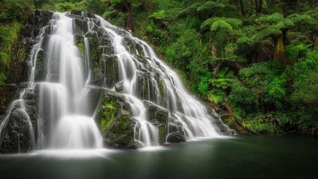 Serene Cascade in Lush Greenery wallpaper