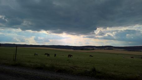 Serene Pastures Beneath Dramatic Skies wallpaper