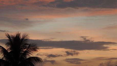 Tranquil Sunset with Silhouetted Palm Trees wallpaper
