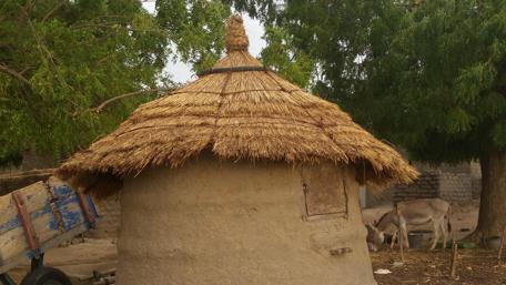Traditional Village Hut Surrounded by Nature and Animals wallpaper