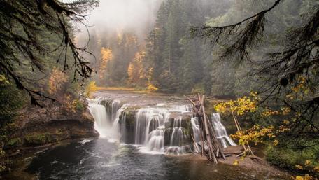 Enchanted Waterfall in a Misty Forest wallpaper