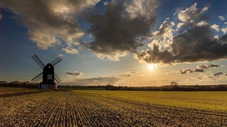 Golden Hour Over a Summer Field with Windmill wallpaper