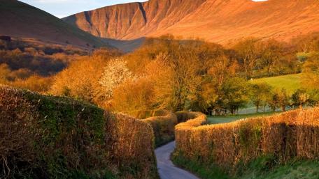 Golden Glow Over Serene Landscape wallpaper
