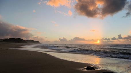 Golden Horizons at Sunset Beach wallpaper