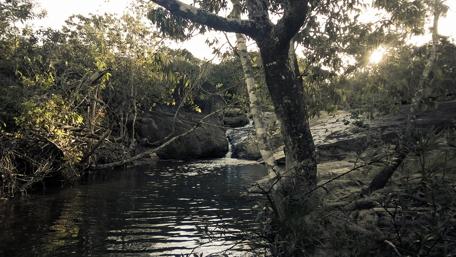Serene River Flowing Through a Lush Forest Landscape wallpaper