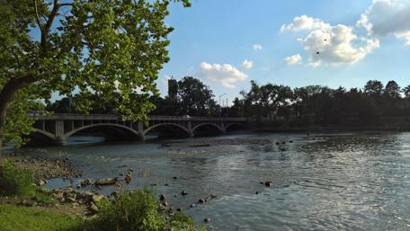 Tranquil River View in Illinois Summer Sunshine wallpaper
