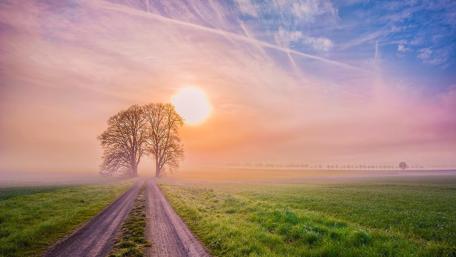 Sunset Serenity on a Countryside Path wallpaper