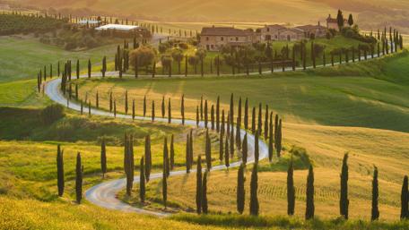 Tuscany cypreses lane wallpaper