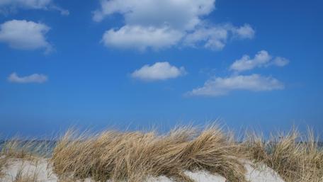 Serene Dunes Under a Blue Sky wallpaper