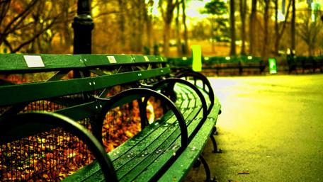 Serene Park Bench in Autumn Colors wallpaper