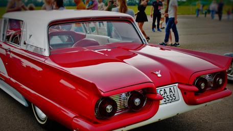 Classic American Beauty in Cherkassy wallpaper