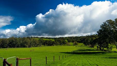 Lush Green Fields Under Majestic Clouds wallpaper