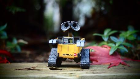 Wall-E in the Wild wallpaper