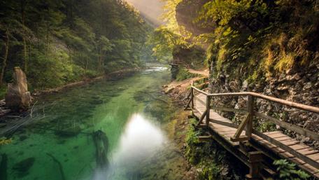 Enchanted Forest Creek Bathed in Sunlight wallpaper