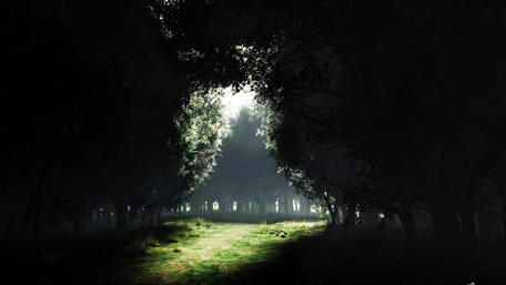 Pathway to Light Through Dark Forest wallpaper