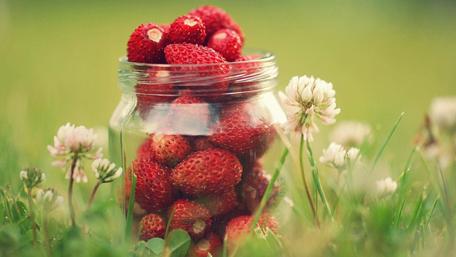 Fresh Strawberries in Spring Bloom wallpaper