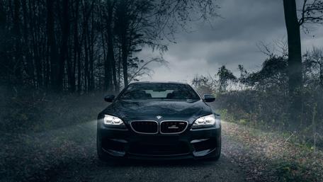 Mystic Drive Through Foggy Woods wallpaper