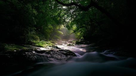 Mystic River Enveloped in Darkness wallpaper