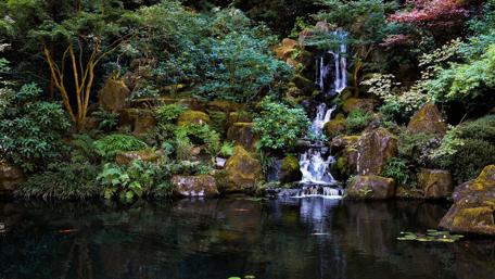 Serene Forest Waterfall Scene wallpaper