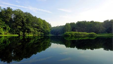 Serene Reflection of Nature's Beauty wallpaper