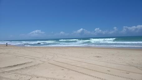 Serene Beachfront Escape in Tranquil Nature wallpaper