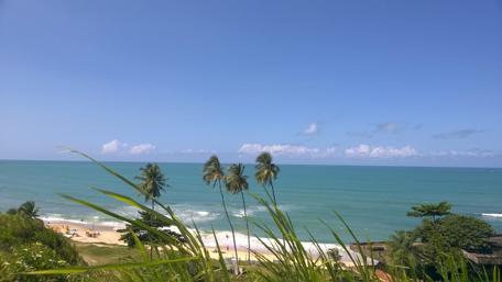 Tranquil Beach Bliss Under a Clear Sky wallpaper