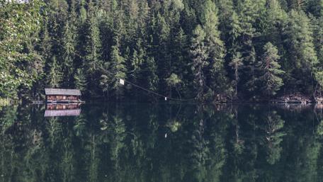 Tranquil Forest Lake Reflection Wallpaper wallpaper