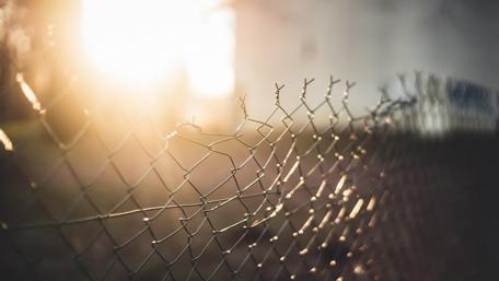 Sunlight Through the Broken Fence wallpaper