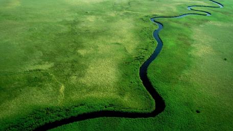 Serene Green Nature with Winding River View wallpaper