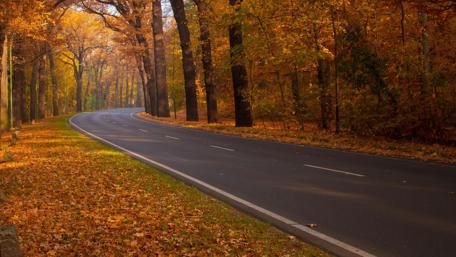 Autumn Serenity in Nature's Embrace wallpaper