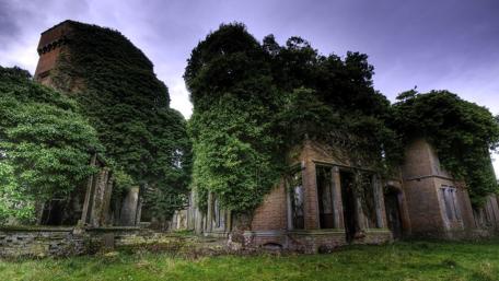Overgrown Castle Ruins in Nature wallpaper