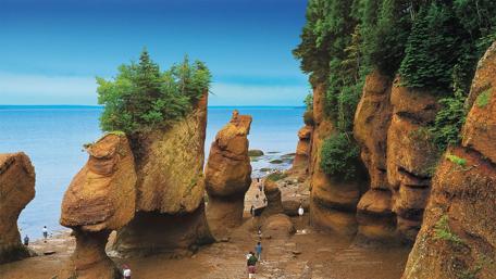 Majestic Cliffs by the Sea wallpaper