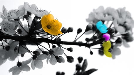 Blooming Contrast in Artful Delights wallpaper