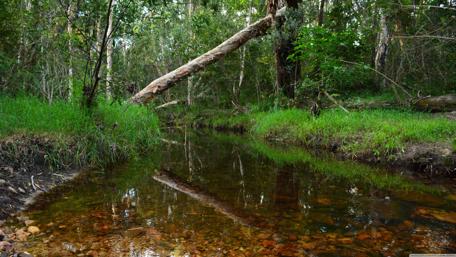 Serene Stream Reflections in Nature Scene wallpaper