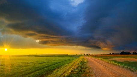 Serene Sunset Over Nature's Pathway wallpaper