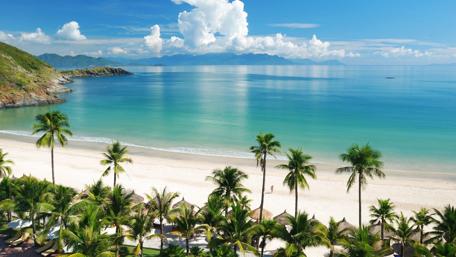 Tropical Beach Serenity wallpaper