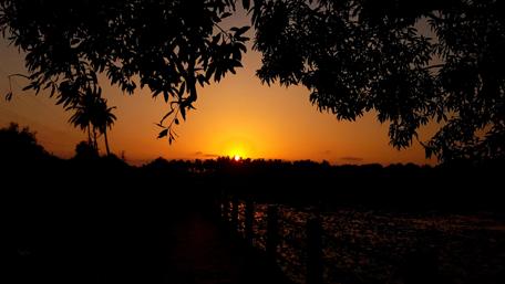 Golden Sunset Over Goa's Serene Landscape wallpaper
