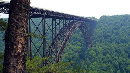 Majestic Bridge Over Lush Greenery wallpaper
