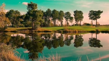 Calm Reflections on a Tranquil Lake wallpaper