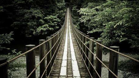 Serene Bridge in Lush Greenery wallpaper