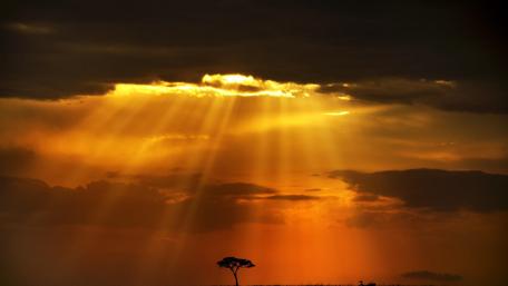 Golden Sunset over Tranquil Landscape wallpaper