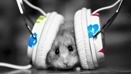 Tiny DJ Rocks the Beat wallpaper