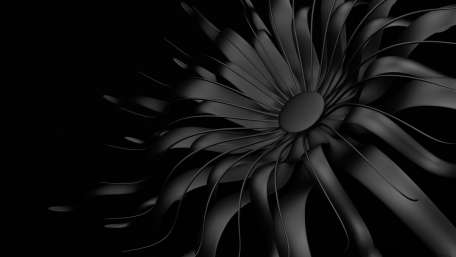 Dark Bloom of Mystery wallpaper