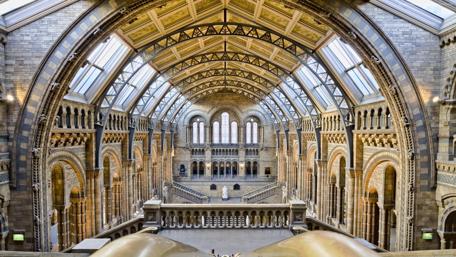 Majestic Architecture of Urban Heritage wallpaper