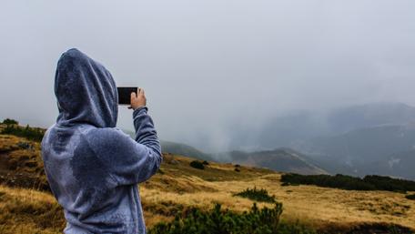 Capturing Moments in Nature wallpaper