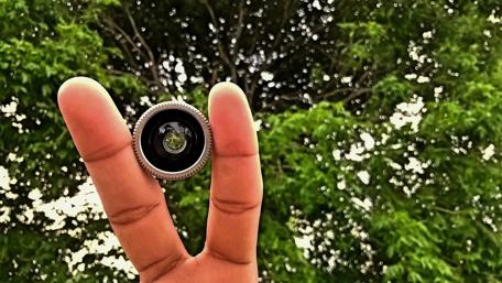 Creative Lens Reflection in Nature’s Embrace wallpaper