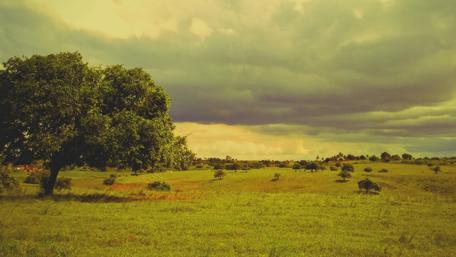 Serene Landscape Under Dramatic Skies wallpaper