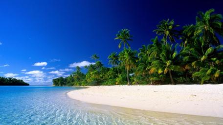 Tropical Paradise by the Shoreline wallpaper