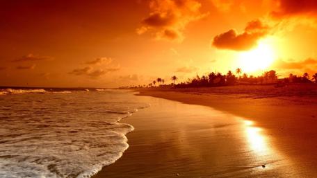 Golden Beach Sunset wallpaper